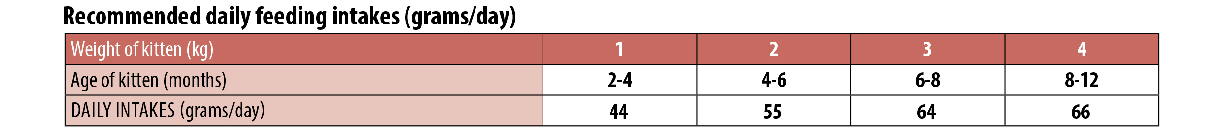 GEMON-Kitten-Somon-si-Orez-hrana-uscata-pisici-junior-2kg-ghid-hranire-1