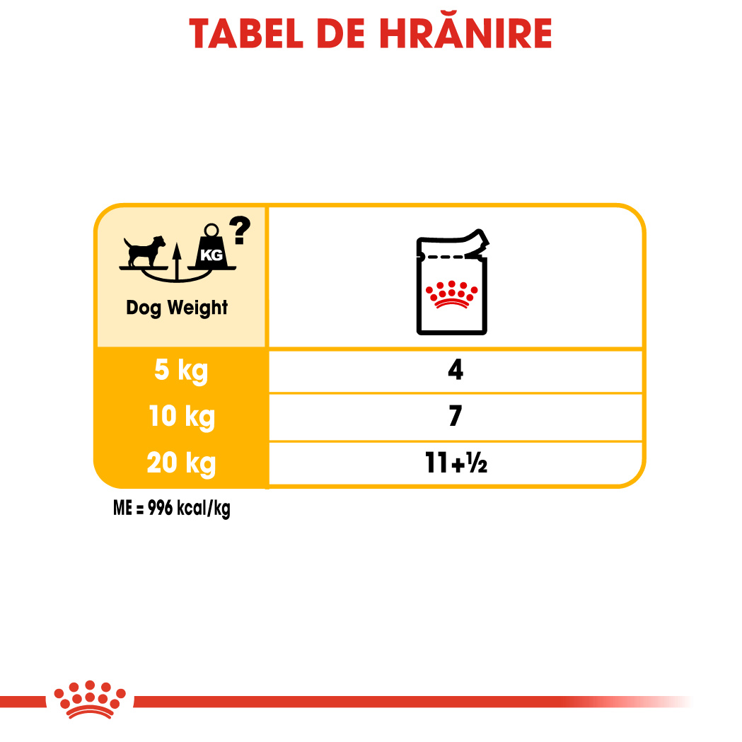 ROYAL-CANIN-Dermacomfort-Adult-hrana-umeda-caini-prevenirea-iritatiilor-pielii-pate--ghidHranire