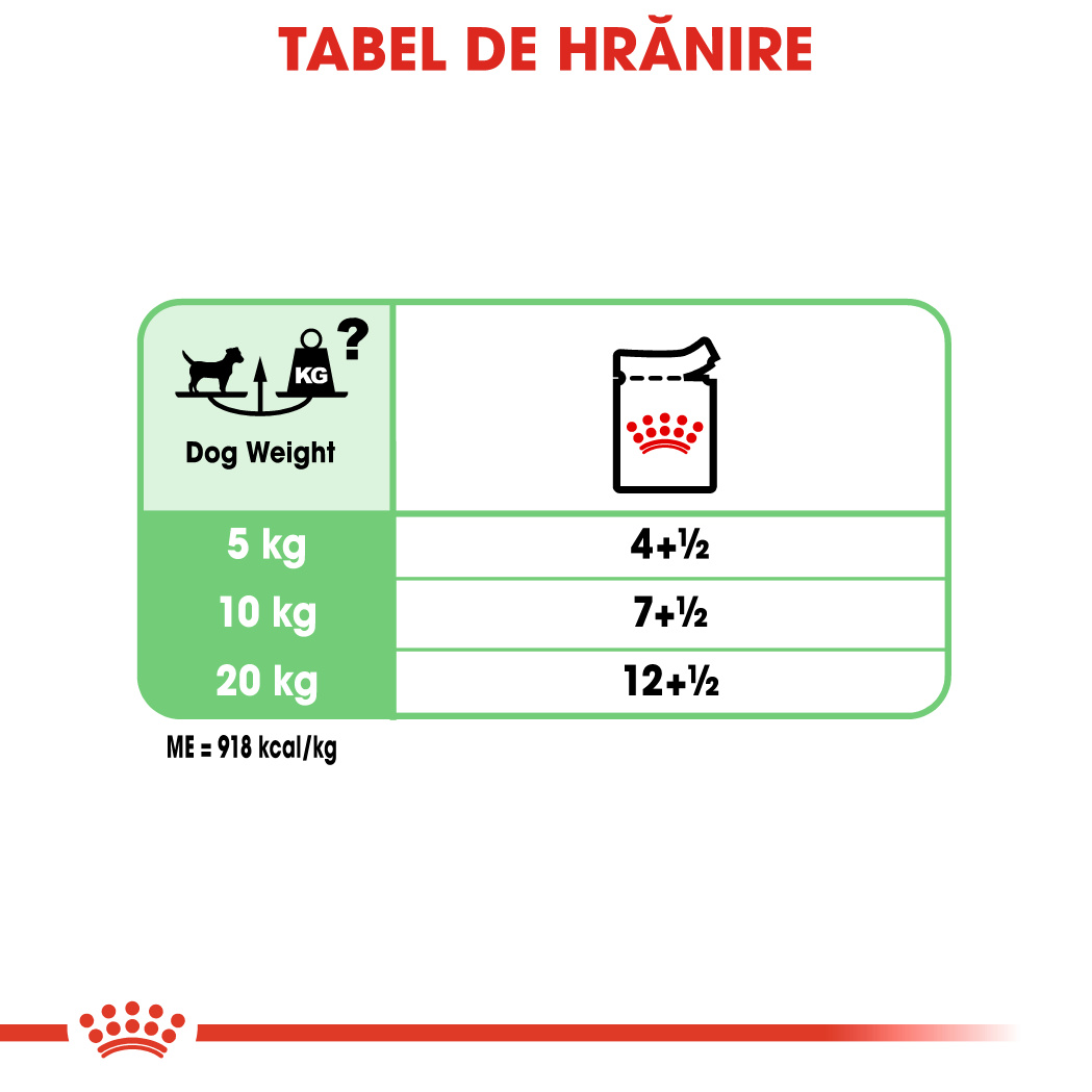 ROYAL-CANIN-Digestive-Care-Adult-hrana-umeda-caini-confort-digestiv-pate--ghidHranire