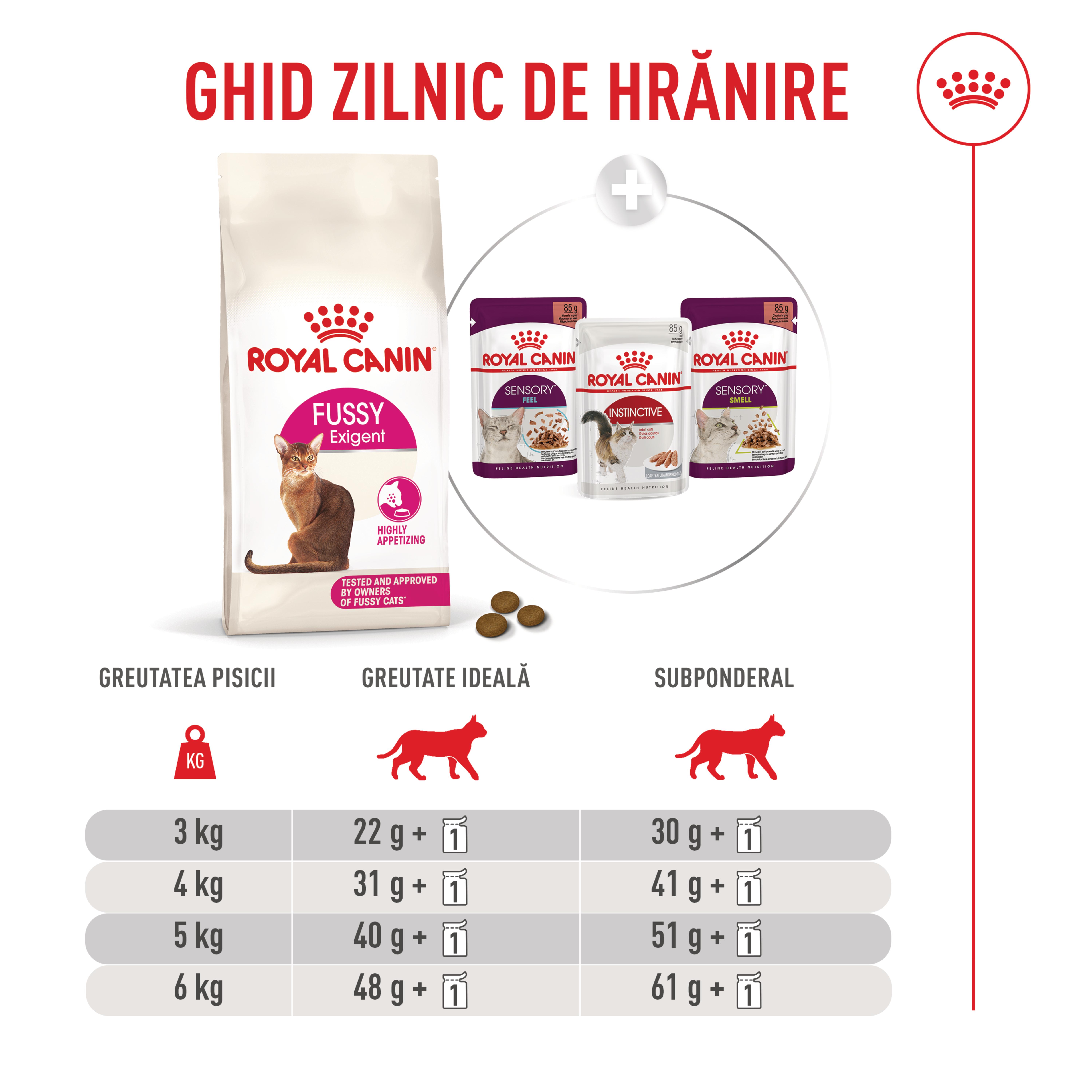 ROYAL-CANIN-Feline-Health-Nutrition-Fussy-hrana-uscata-pisici-apetit-capricios-8.jpeg