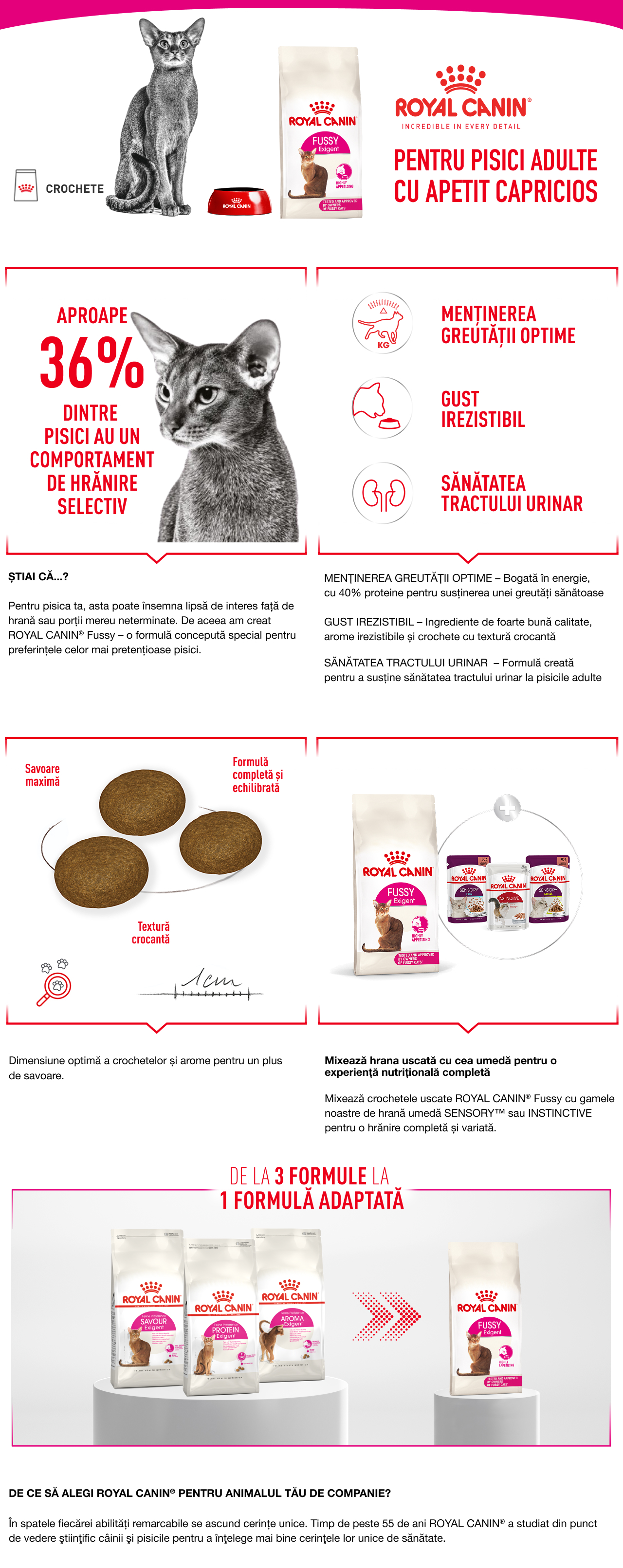 ROYAL-CANIN-Feline-Health-Nutrition-Fussy-hrana-uscata-pisici-enhancedContent.jpg
