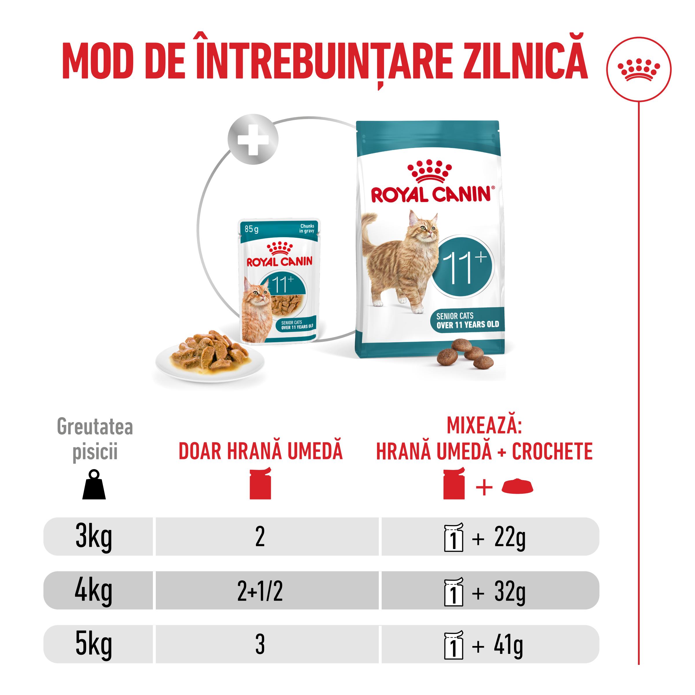 ROYAL-CANIN-Feline-Health-Nutrition-Healthy-Ageing-11-plic-hrana-umeda-pisici-senior-in-sos--8.jpeg