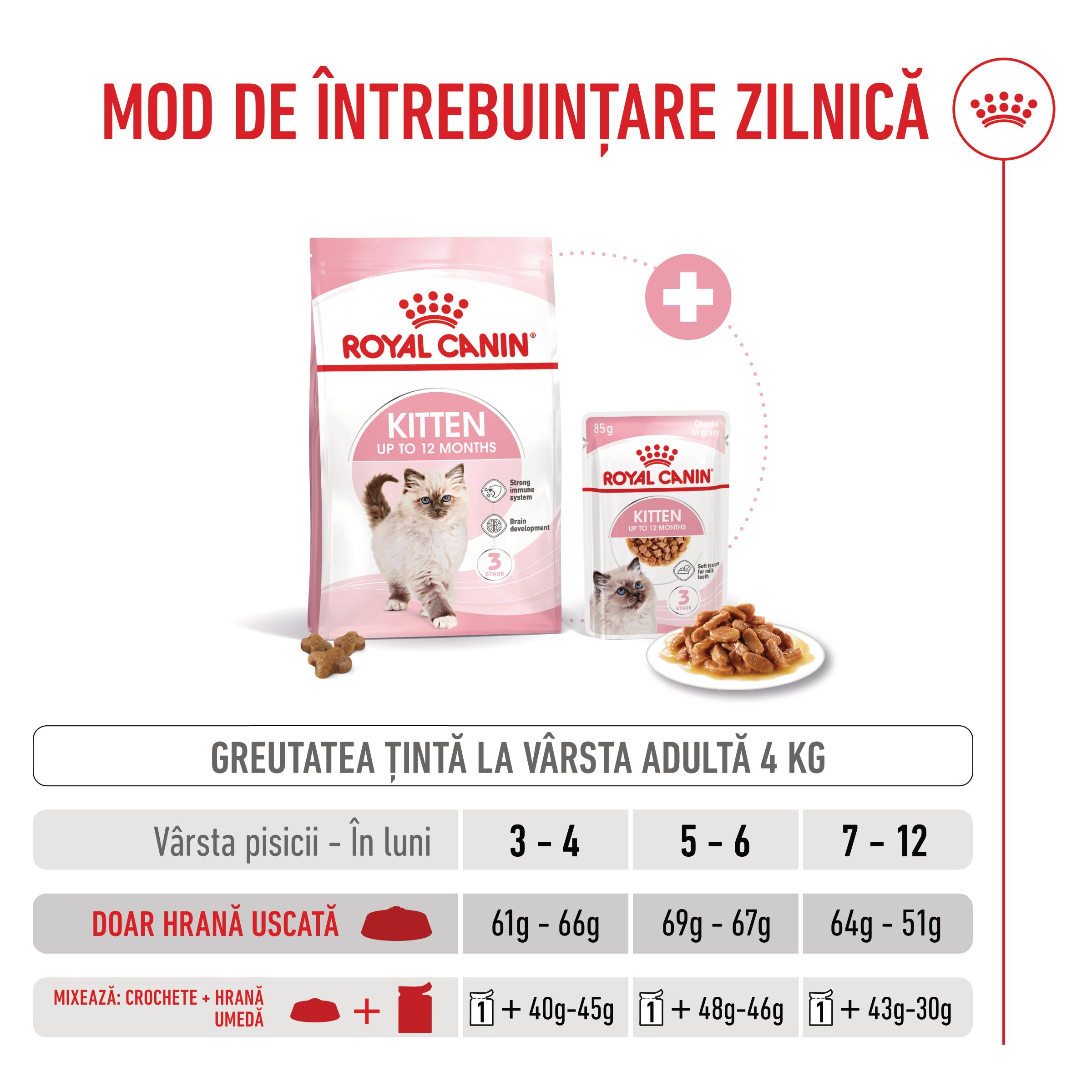 ROYAL-CANIN-Kitten-hrana-uscata-pisici-junior-ghid-hranire-1