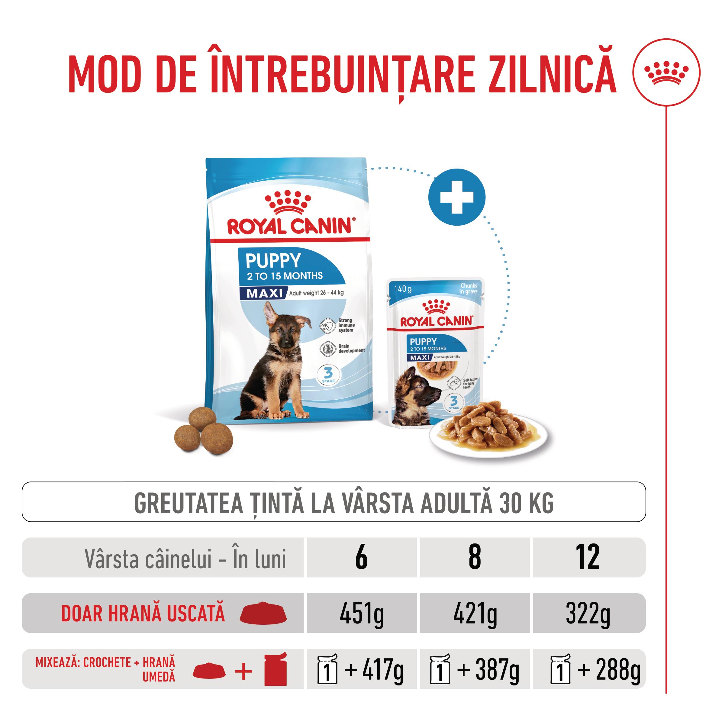 ROYAL-CANIN-Maxi-Puppy-hrana-uscata-caini-junior-ghid-hranire-1