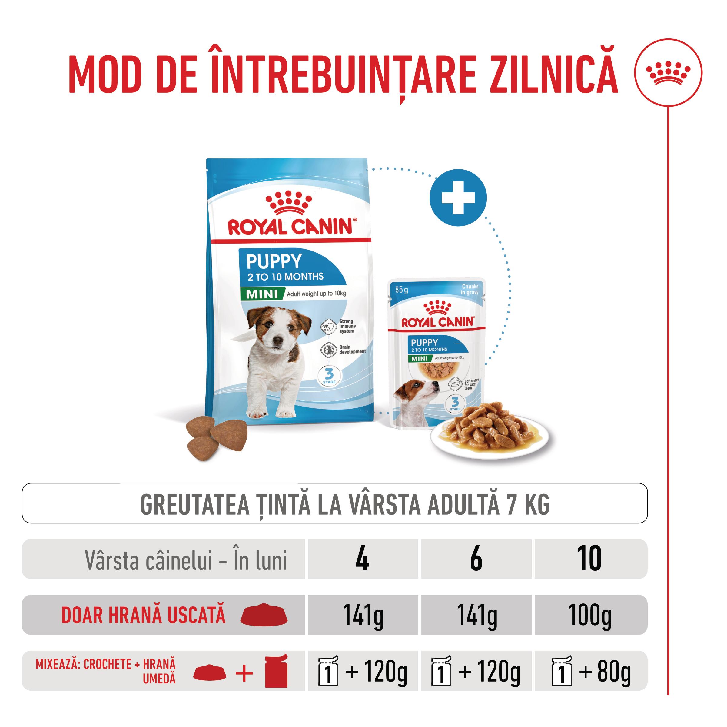 ROYAL-CANIN-Mini-Puppy-hrana-uscata-caini-junior-ghid-hranire-1