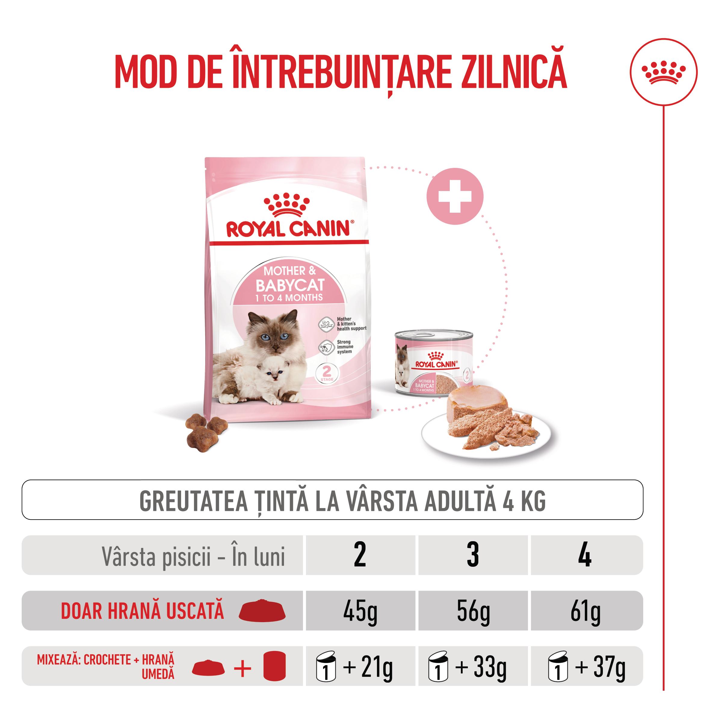 ROYAL-CANIN-Mother-and-BabyCat-hrana-uscata-pisici-mama-si-puiul-ghid-hranire-1