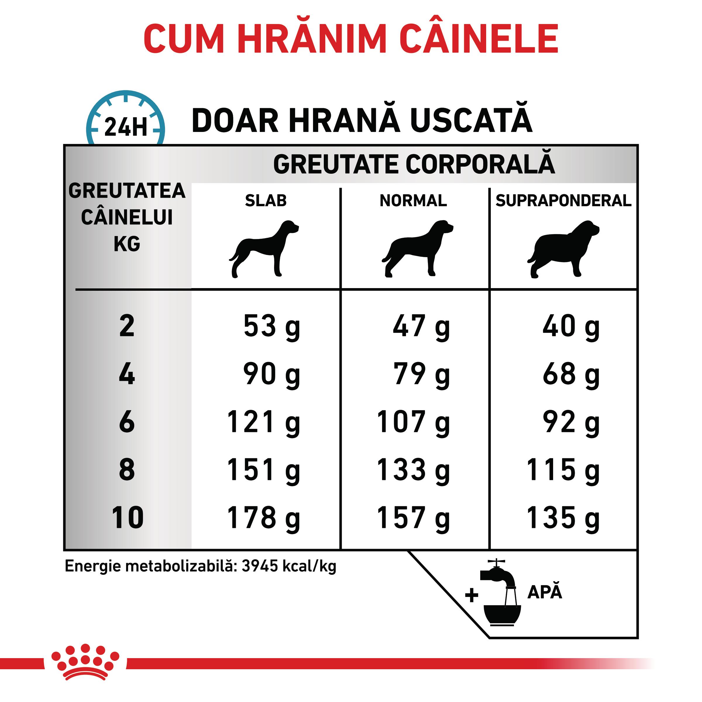ROYAL-CANIN-VD-Skin-Care-Small-Dog-XS-XL-dieta-veterinara-hrana-uscata-caini-afectiuni-dermatologice