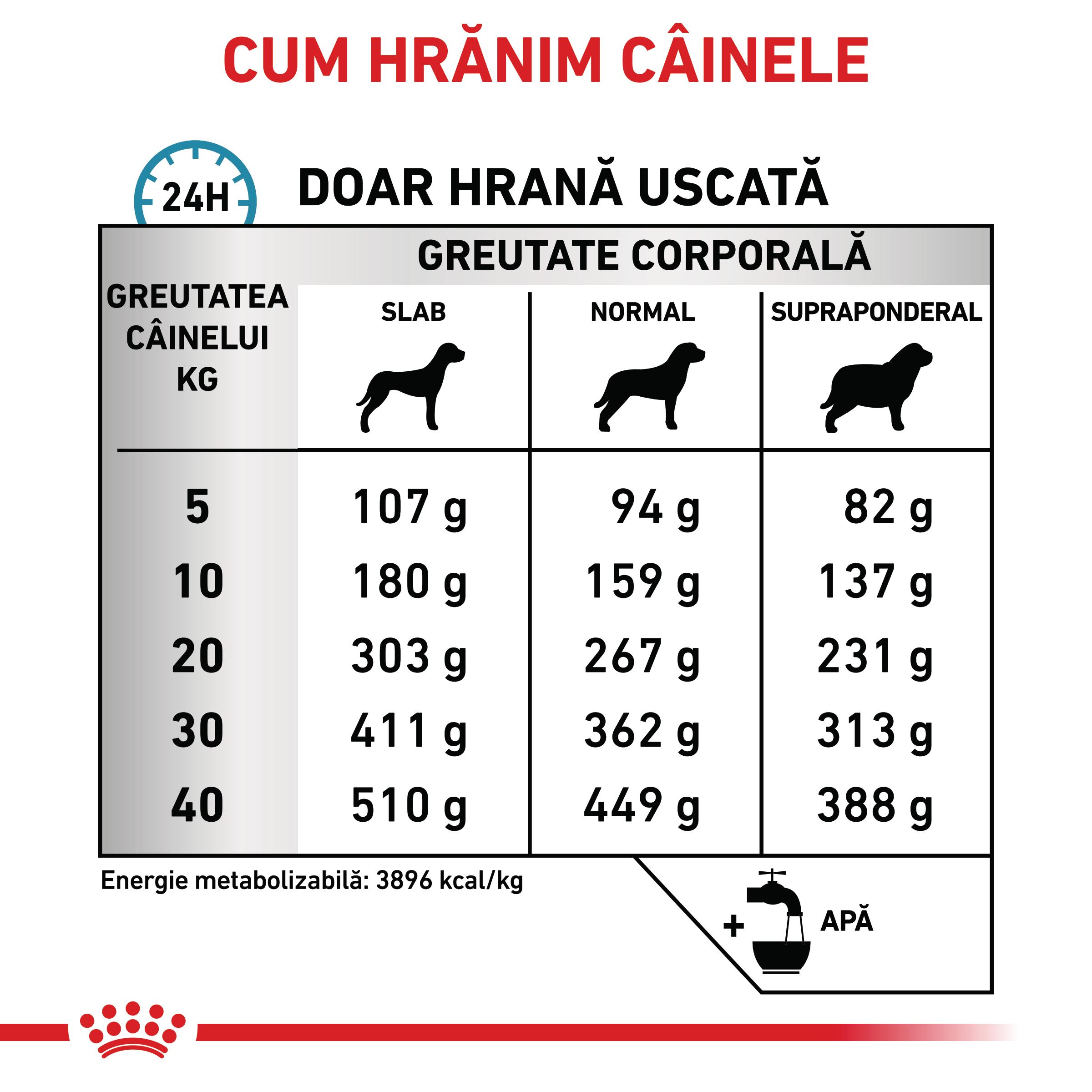 ROYAL-CANIN-VD-Skin-Care-XS-XL-dieta-veterinara-hrana-uscata-caini-afectiuni-dermatologice