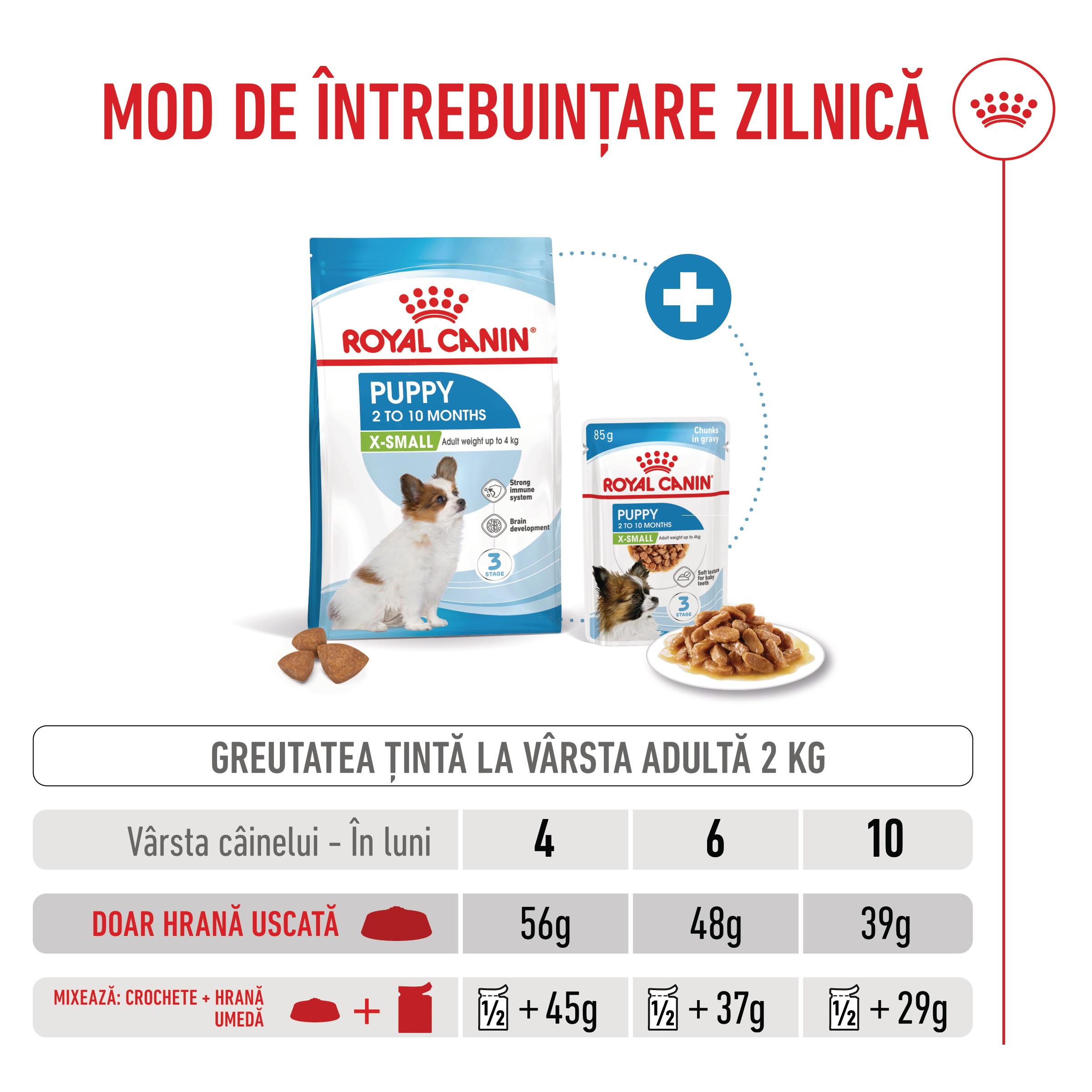 ROYAL-CANIN-X-Small-Puppy-hrana-uscata-caini-junior-ghid-hranire-1