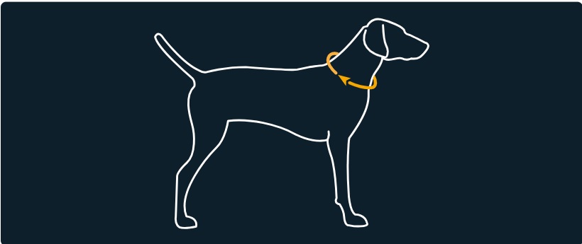 ruffwear-crag-alpine-dusk-zgarda-banda-caini-ajustabila-reflectorizanta-multicolor-s-28-36-x-2cm-ghid-marimi