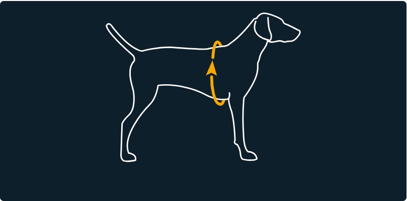 ruffwear-hi-and-light-lichen-green-ham-prindere-dubla-pieptandspate-caini-ajustabil-reflectorizant-verde-xs-23-33cm-ghid-marimi